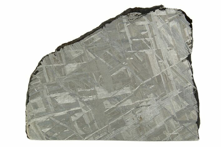 Etched Muonionalusta Meteorite Slice ( g) - Sweden #316716